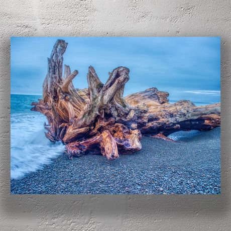 Majestic Driftwood on Pebble Beach Coastal Nature Photography Photo Download