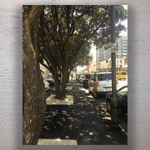 Urban Sidewalk Under Lush Greenery City Street Scene with Dappled Sunlight Photo Download