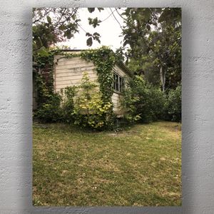 Wooden House Overgrown with Ivy in a Lush Green Garden Photo Download