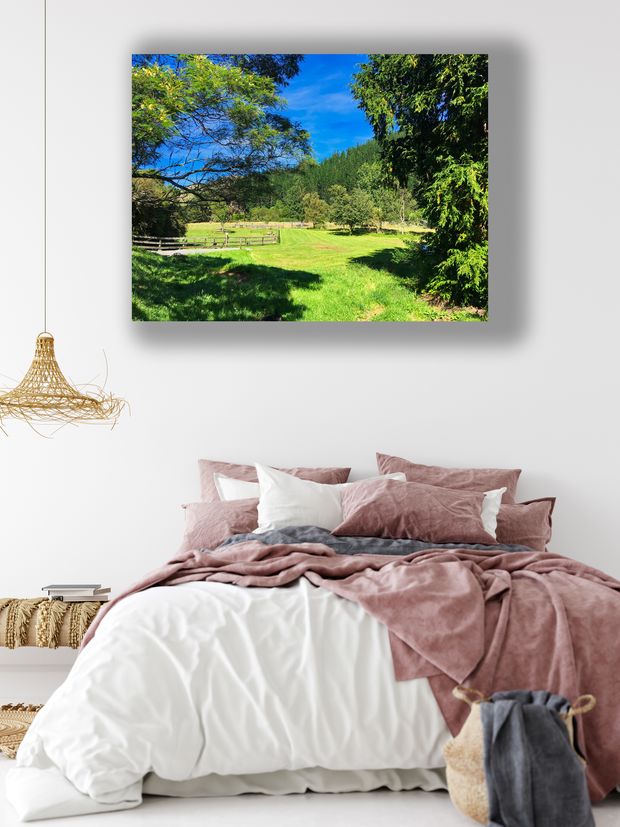Sunny Rural Farm Landscape with Lush Green Fields in New Zealand Countryside Photo Download