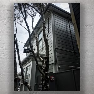 Modern Weatherboard Building Framed by Bare Trees Urban Architecture Photography Photo Download