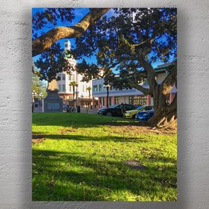 Art Deco Architecture in Napier New Zealand Clock Tower and Marine Parade Scene Photo Download