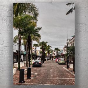 Scenic Palm-Lined Street in Napier New Zealand Art Deco Charm and Urban Oasis Photo Download