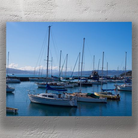Tranquil Marina Scene in Wellington Harbour with Sailboats and Blue Sky Photo Download