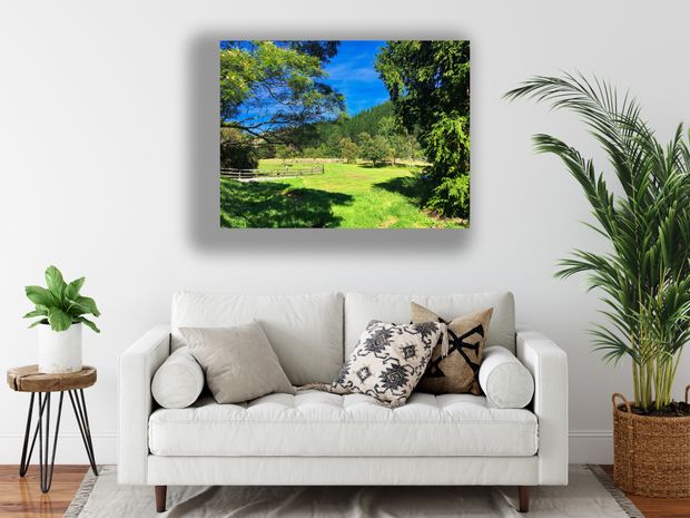 Sunny Rural Farm Landscape with Lush Green Fields in New Zealand Countryside Photo Download