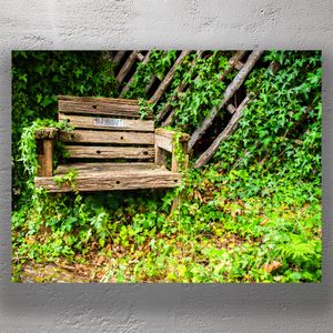 Abandoned Wooden Bench in Overgrown Garden Photo Download