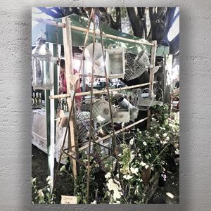 Rustic Market Garden Display with Vintage Decor and Hanging Planters Photo Download