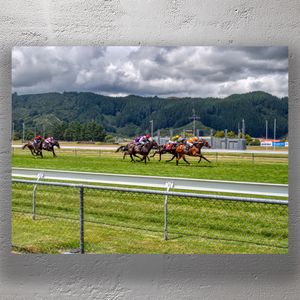 Thrilling Horse Racing Action at Trentham Racecourse Photo Download