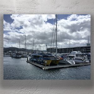 Scenic View of Boats Docked at Chaffers Marina in Wellington New Zealand Photo Download