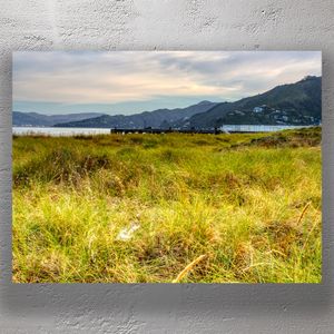 Coastal View of Eastbourne New Zealand Golden Grass a Pier and Mountain Backdrop Photo Download