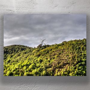 Te Apiti Wind Farm in Manawatū Renewable Energy Amid Lush New Zealand Forest Photo Download