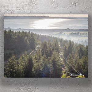 Redwood Forest with Scenic Lake View in Rotorua New Zealand Photo Download