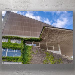 Urban Nature Ivy-Covered Modern Architecture with Geometric Design Photo Download