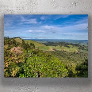 Kaimai Mamaku Forest Park Rolling Hills and Lush Green Landscape in New Zealand Photo Download