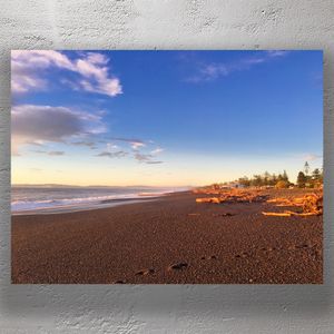 Golden Hour on Napier Beach with Driftwood and Pacific Horizon Photo Download