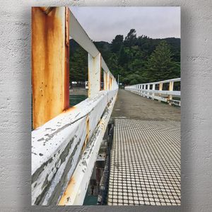 Rustic Pier at Days Bay with Lush Forest Backdrop Moody Coastal New Zealand Scene Photo Download