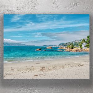 Scorching Bay Wellington Breathtaking Beach and Coastal Views in New Zealand Photo Download