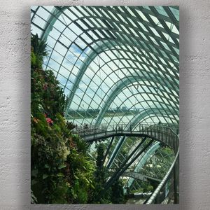 Cloud Forest Walkway at Gardens by the Bay Singapore Glass Dome &amp; Lush Greenery Photo Download