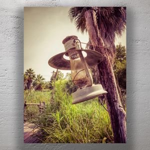Rustic Hanging Lantern in Tropical Wilderness Vintage Outdoor Photo Download