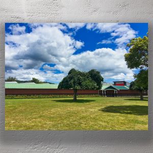 Serene Landscape at Trentham Racecourse Lush Greenery and Vibrant Sky Photo Download