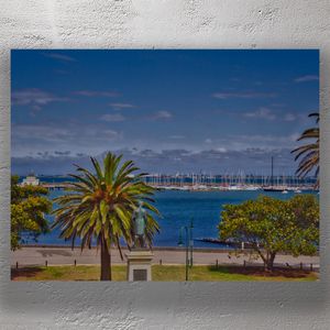 St Kilda Marina Melbourne Scenic View of Sailboats Palm Trees and Waterfront Photo Download