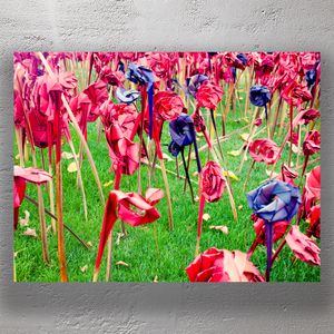 Handmade Poppy Flower Field Vibrant Red and Purple Paper Art Installation on Grass Photo Download