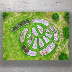Aerial View of Geometric Garden Beds in Lush Green Park Photo Download
