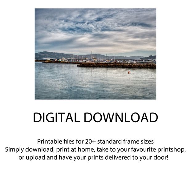 Seaview Marina Lower Hutt Scenic Waterfront with Sailboats and Mountains Photo Download