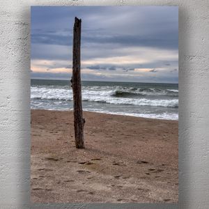 Weathered Driftwood on Tranquil Ocean Shoreline Under Moody Sky Coastal Beach Scene Photo Download