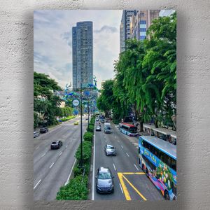 Bustling Orchard Road Singapore Urban Traffic and Greenery in a Vibrant Cityscape Photo Download