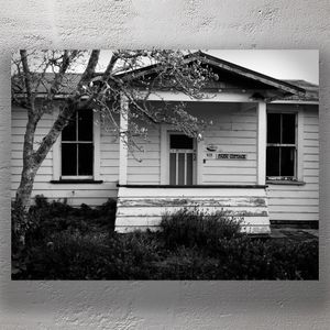 Abandoned Farm Cottage with Weathered Timber and Overgrown Garden Photo Download
