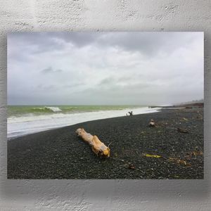 Stormy Driftwood on Pebble Beach Napier New Zealand Moody Coastal Landscape Photo Download