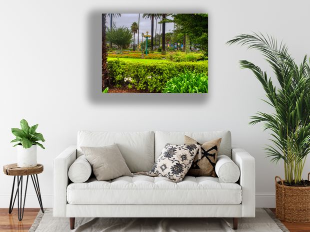 Clive Square Gardens Napier A Tranquil Oasis with Lush Greenery and Vibrant Flowers Photo Download