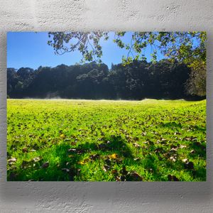 Morning Light Over Autumn Field with Forest Backdrop Nature Landscape Photo Download