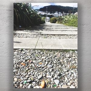 Urban Nature Walkway with Gravel Path and City View Outdoor Steps Photo Download