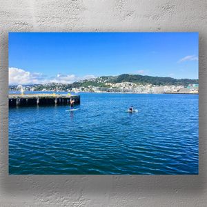 Paddle Boarding in Wellington Harbour on a Sunny Day New Zealand Waterfront Adventure Photo Download