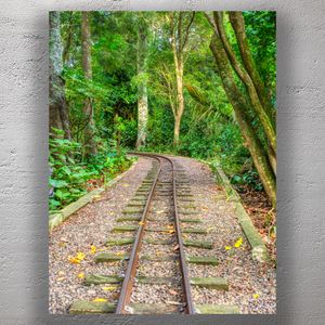 Miniature Railway Tracks Through Lush Green Forest Garden Photo Download