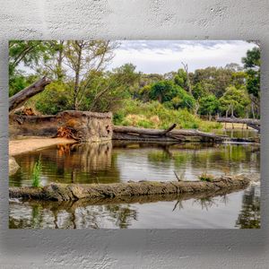River Landscape with Lush Greenery and Fallen Logs Tranquil Nature Scene Photo Download