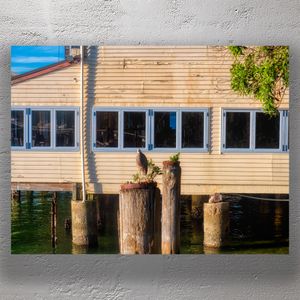 Solitary Heron on Waterfront Piling in Front of Rustic Building at Sunrise Photo Download