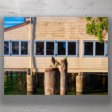 Solitary Heron on Waterfront Piling in Front of Rustic Building at Sunrise Photo Download
