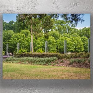 Argyle Square Gardens Melbourne Tranquil Urban Green Space Photo Download