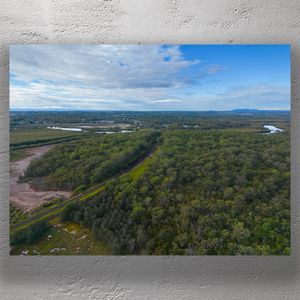 Aerial View of Lush Australian Wetlands and Forest Landscape Photo Download
