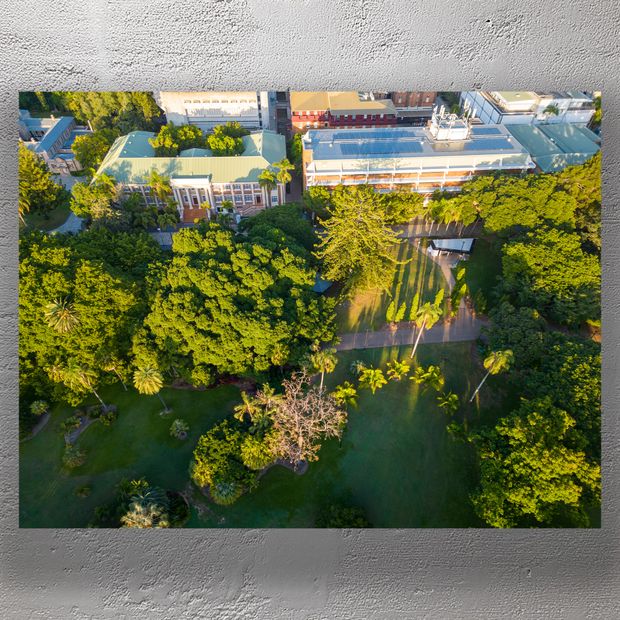 Brisbane City Botanic Gardens Aerial View with Historic Buildings and Lush Greenery Photo Download