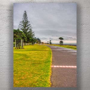Scenic Coastal Pathway in Napier New Zealand Oceanfront Walkway with Lush Greenery Photo Download
