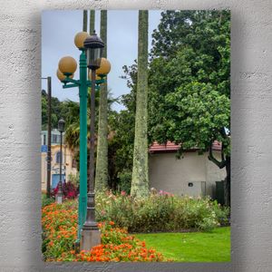 Clive Square Garden Napier Scenic Park with Vintage Lamp Posts and Lush Greenery Photo Download