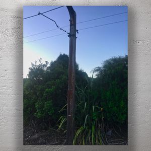 Weathered Railway Power Pole with Overhead Electric Lines in Lush Green Bushland Photo Download