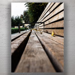 Close-Up Perspective of a Wooden Park Bench in Autumn Urban Nature Photo Download
