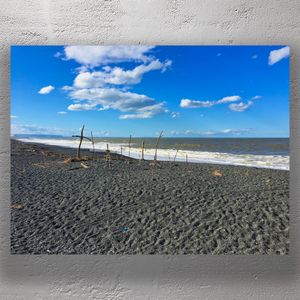 Driftwood Sculptures on Black Sand Beach under Blue Sky Napier New Zealand Coastal Photo Download