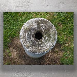 Weathered Wooden Post with Hollow Center Rustic Nature Texture Close-Up Photo Download