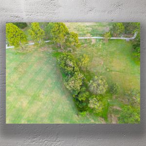 Aerial View of Lush Green Park with Trees and Walking Path Tranquil Nature Landscape Photo Download